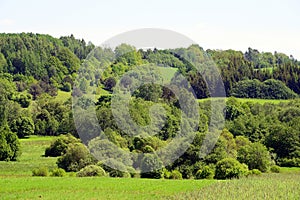 Landscape near Kurkliai town in the Anyksciai district