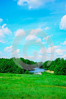Landscape with or near a lake in early summer in the middle zone of the European part
