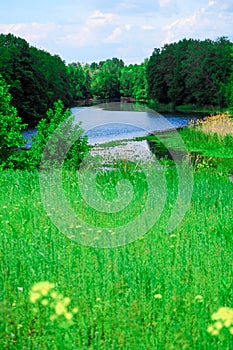 Landscape with or near a lake in early summer in the middle zone of the European part