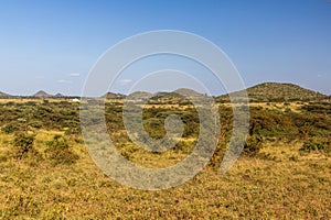 Landscape near Marsabit town, Ken