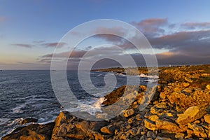 Landscape near Pointe de Landunvez, Landunvez, Finistere, Brittany, France photo