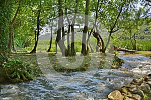 Landscape Near Roski Slap