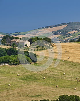 Landscape near Sant`Elpidio a Mare Marches, italy photo
