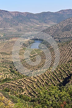 landscape near Sapinha-Escalhao photo