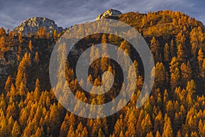 Landscape near Sella di Razzo and Sella di Rioda pass, Carnic Alps, Friuli-Venezia Giulia, Italy photo