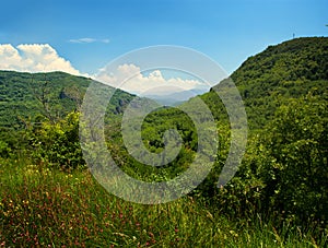 Landscape near sort on the Pyrenees of Spain