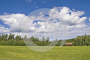 Landscape near the Swedish village Bollnas