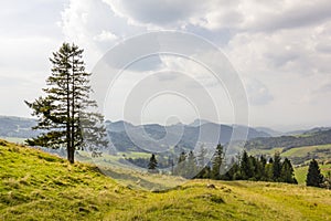 Landscape near Szczawnica, Poland