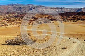 Landscape near Teide volcano, Tenerife