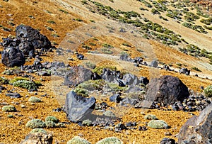 Landscape near Teide volcano, Tenerife