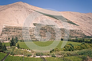 Landscape near to Pisco Elqui photo