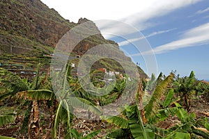 Landscape near Vallehermoso