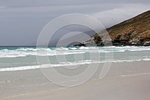 Landscape in The Neck on Saunders Island on Falkland Islands