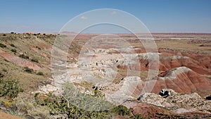 Petrified Forest National Park Painted Desert Landscape photo