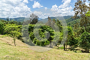 Landscape of new caledonia. Farino