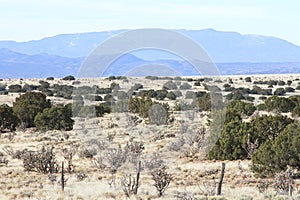 New Mexico High Desert Near Santa Fe