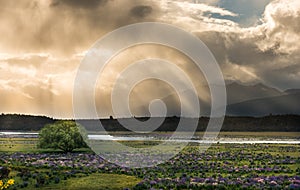 Landscape of New Zealand