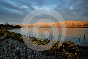 Landscape New Zealand - Lake Tekapo in the evening