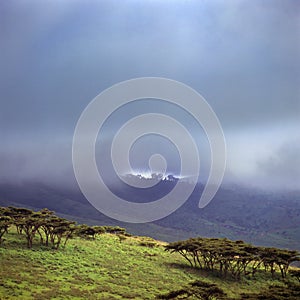 Landscape of crater ngoro ngoro in tanzania