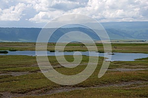 Landscape in the Ngorongoro crater in Tanzania