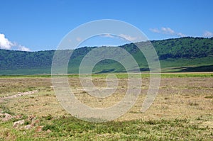 Landscape in the Ngorongoro crater in Tanzania