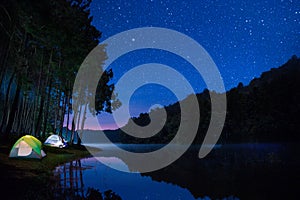 Landscape of Night camping with stars in Pang ung pine woods for