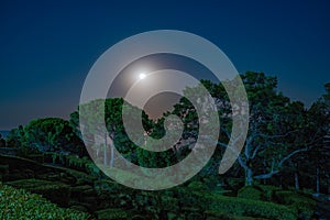 Landscape of night park on sea shore with clear sky with moon, dark tone. Tranquil park and sea in the night at national park