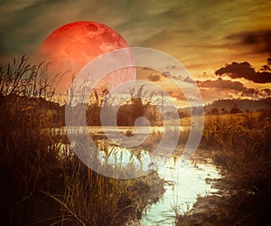 Landscape at night time in the forest lake with fogy and darkness sky super blood moon in the background