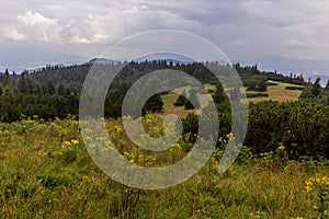 Landscape of Nizke Tatry mountains, Slovak