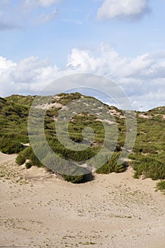 Landscape at the Noordduinen