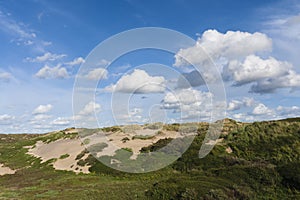 Landscape at the Noordduinen