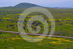 Landscape of the north of the Golan Heights at spring Israel