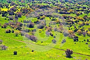 Landscape of the north of the Golan Heights at spring Israel