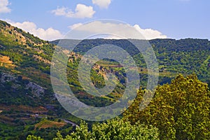 Landscape of the north of the Golan Heights at spring Israel