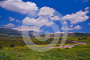 Landscape of the north of the Golan Heights at spring Israel