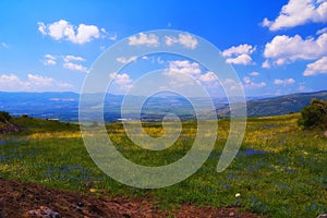 Landscape of the north of the Golan Heights at spring Israel
