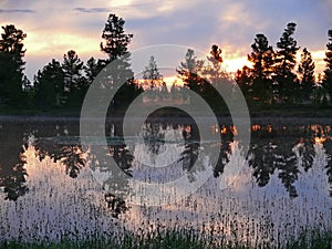 The landscape of the Northern nature. Forest at sunset. The Nadym River.