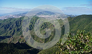 Landscape in Northern Tenerife Island. Spain.