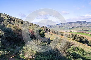 Landscape of northern Tunisia