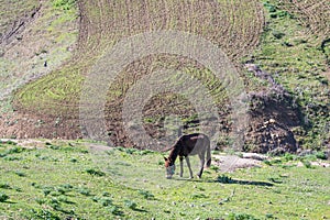 Landscape of northern Tunisia