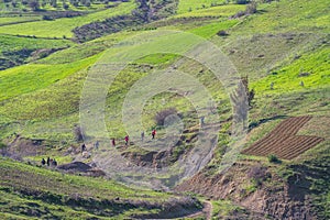 Landscape of northern Tunisia