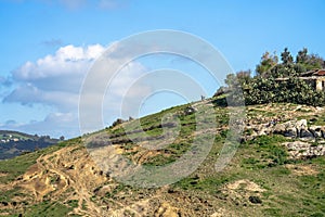 Landscape of northern Tunisia