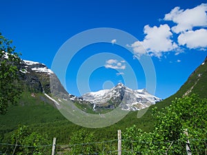 Landscape in Norway with fence, green trees, mountain with snow and blue sky