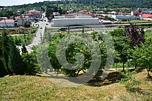 Landscape in the Novaci area