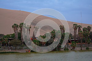 Landscape of oasis lake with many palm trees outdoor recreation in Huacachina Ica peru