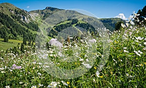 Landscape from Obereggen, Nova Ponente, Bolzano - South Tyrol - Trentino Alto Adige photo