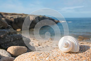 Landscape of ocean Bretagne France