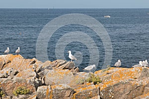 Landscape of ocean Bretagne France