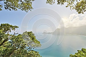 Landscape of ocean with forest under sunlight