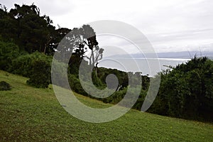 The landscape of the ocean and the rocky coast in Cucao on the way to Muelle de las Almas (Dock of Souls